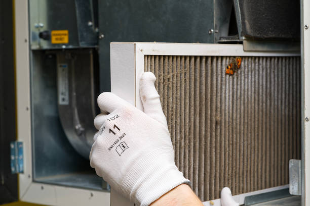 Best Local Air Duct Cleaning Services  in Fairbank, IA