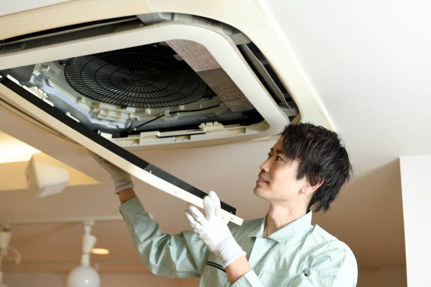 Best Local Air Duct Cleaning Services  in Fairbank, IA